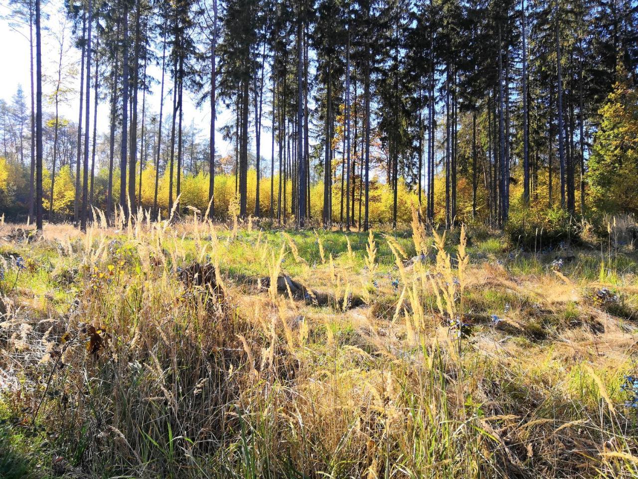 Resort Vyhlidka Slovice Hrebecniky Luaran gambar
